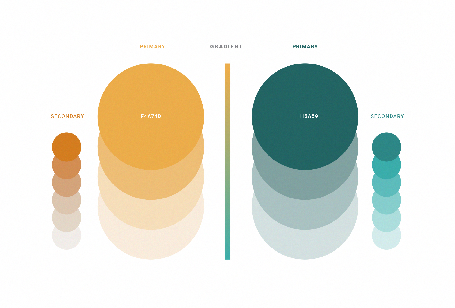 Color Palette